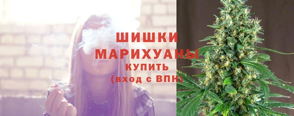 гашик Пестово