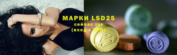 стаф Покачи