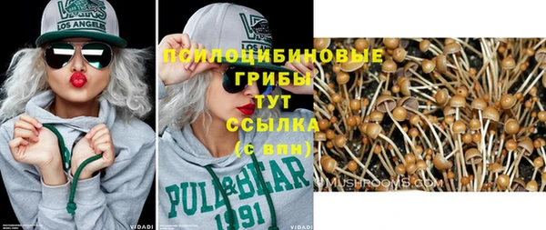 стаф Покачи