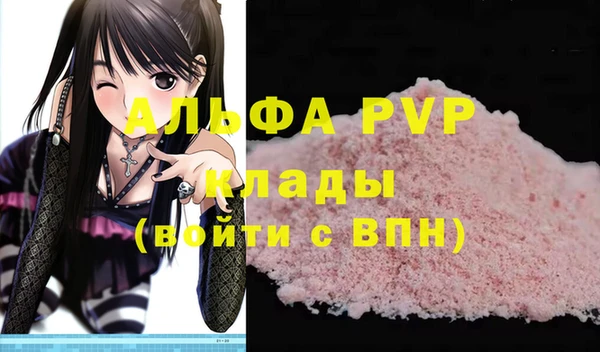 стаф Покачи