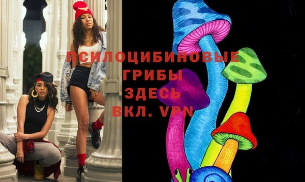 мет Пересвет