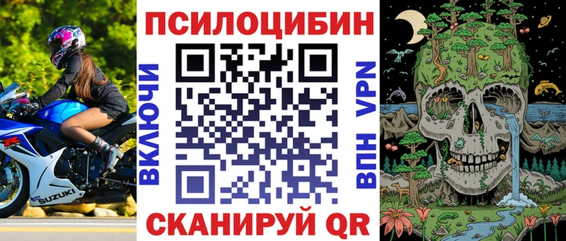 Галлюциногенные грибы мицелий Купить Зея